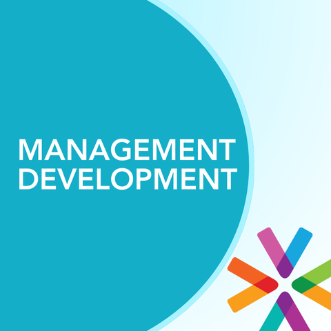 Strategic Leadership Essentials